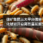 徐矿集团三大平台信息化赋能开启高质量发展新阶段(图4) 徐矿集团三大平台信息化赋能开启高质量发展新阶段(图4)