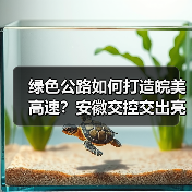 绿色公路如何打造皖美高速?安徽交控交出亮眼答卷(图3) 绿色公路如何打造皖美高速?安徽交控交出亮眼答卷(图3)