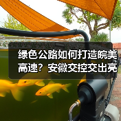 绿色公路如何打造皖美高速?安徽交控交出亮眼答卷(图4) 绿色公路如何打造皖美高速?安徽交控交出亮眼答卷(图4)