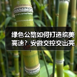 绿色公路如何打造皖美高速?安徽交控交出亮眼答卷(图1) 绿色公路如何打造皖美高速?安徽交控交出亮眼答卷(图1)