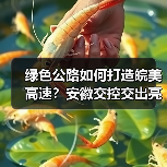 绿色公路如何打造皖美高速?安徽交控交出亮眼答卷(图2) 绿色公路如何打造皖美高速?安徽交控交出亮眼答卷(图2)