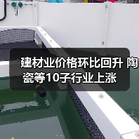 建材业价格环比回升 陶瓷等10子行业上涨(图3) 建材业价格环比回升 陶瓷等10子行业上涨(图3)