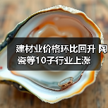 建材业价格环比回升 陶瓷等10子行业上涨(图4) 建材业价格环比回升 陶瓷等10子行业上涨(图4)
