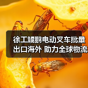 徐工鲲鹏电动叉车批量出口海外 助力全球物流升级