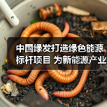 中国绿发打造绿色能源标杆项目 为新能源产业贡献动能（图4）