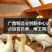广西制造业创新中心试点培育名单,柳工两次上榜!(图4) 广西制造业创新中心试点培育名单,柳工两次上榜!(图4)