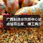 广西制造业创新中心试点培育名单,柳工两次上榜!(图3) 广西制造业创新中心试点培育名单,柳工两次上榜!(图3)