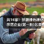 共16家！新疆绿色建材示范企业(第一批)名单公示（图4）