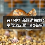共16家！新疆绿色建材示范企业(第一批)名单公示（图3）