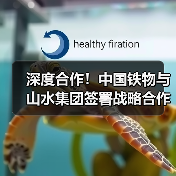 深度合作！中国铁物与山水集团签署战略合作协议（图4）