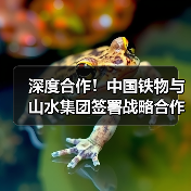 深度合作！中国铁物与山水集团签署战略合作协议（图3）