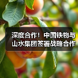深度合作！中国铁物与山水集团签署战略合作协议（图2）