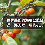 世界最长的海底公路隧道“海天号”盾构机刀盘顺利下井（图3）