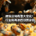 建筑业将有重大变化！行业将再添四项国家标准（图4）