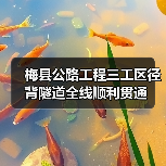 梅县公路工程三工区径背隧道全线顺利贯通