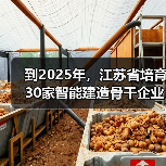 到2025年，江苏省培育30家智能建造骨干企业