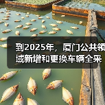 到2025年，厦门公共领域新增和更换车辆全采用纯电动汽车