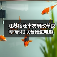 江苏宿迁市发展改革委等9部门联合推进电能替代工作