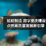 赋能智造 数字重庆建设点燃高质量发展新引擎