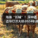 海底“长城”!深中通道伶仃洋大桥2024年通车(图3) 海底“长城”!深中通道伶仃洋大桥2024年通车(图3)