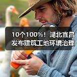10个100%！湖北宜昌发布建筑工地环境治理标准图例