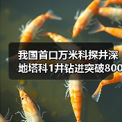 我国首口万米科探井深地塔科1井钻进突破8000米(图4) 我国首口万米科探井深地塔科1井钻进突破8000米(图4)