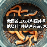 我国首口万米科探井深地塔科1井钻进突破8000米(图3) 我国首口万米科探井深地塔科1井钻进突破8000米(图3)