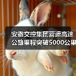 安徽交控集团营运高速公路里程突破5000公里