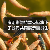 康明斯与特雷克斯旗下子公司共同展示氢能生态系统